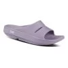 OOfos Unisex OOahh Slide- Mauve 2 OOfos Unisex OOahh Slide- Mauve -Women Shoes Shop 1100MAUVE shot2 932x680 588e3124 4531 4ec2 b42d 7de81ff8f029