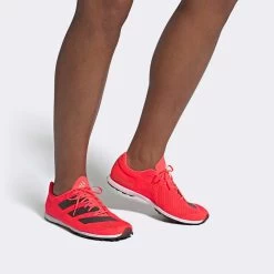 ADIDAS ADIZERO XC Sprint Spike - Signal Pink/Core Black/Cloud White-Regular (D) -Women Shoes Shop Adizero XC Sprint Shoes Pink EG8454 010 hover standard